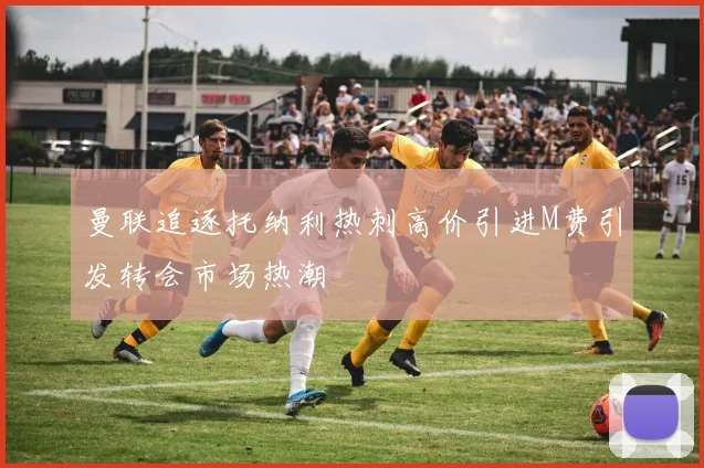 曼联追逐托纳利热刺高价引进M费引发转会市场热潮