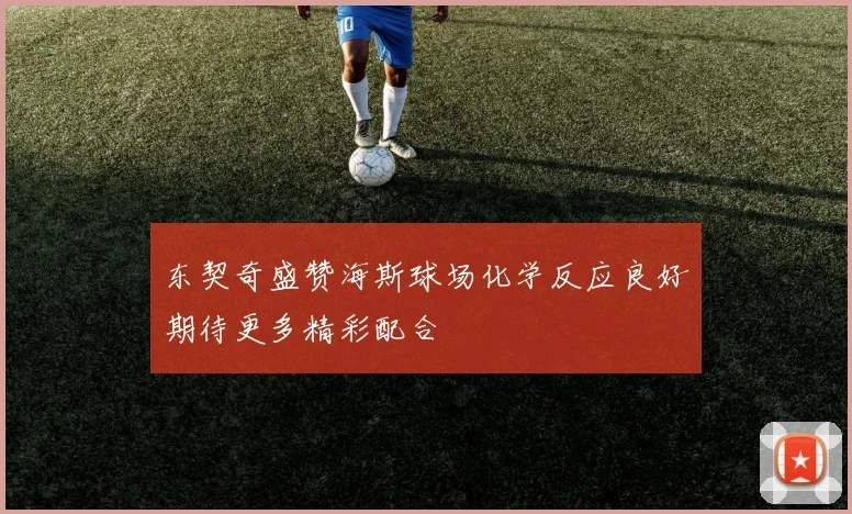 东契奇盛赞海斯球场化学反应良好期待更多精彩配合