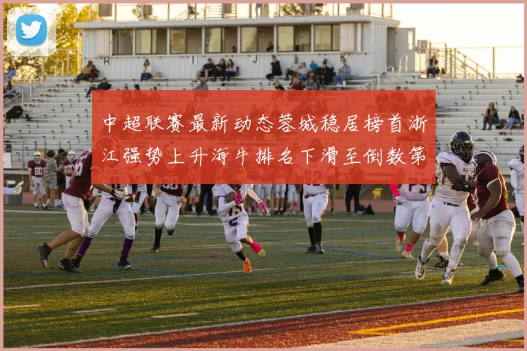 中超联赛最新动态蓉城稳居榜首浙江强势上升海牛排名下滑至倒数第三